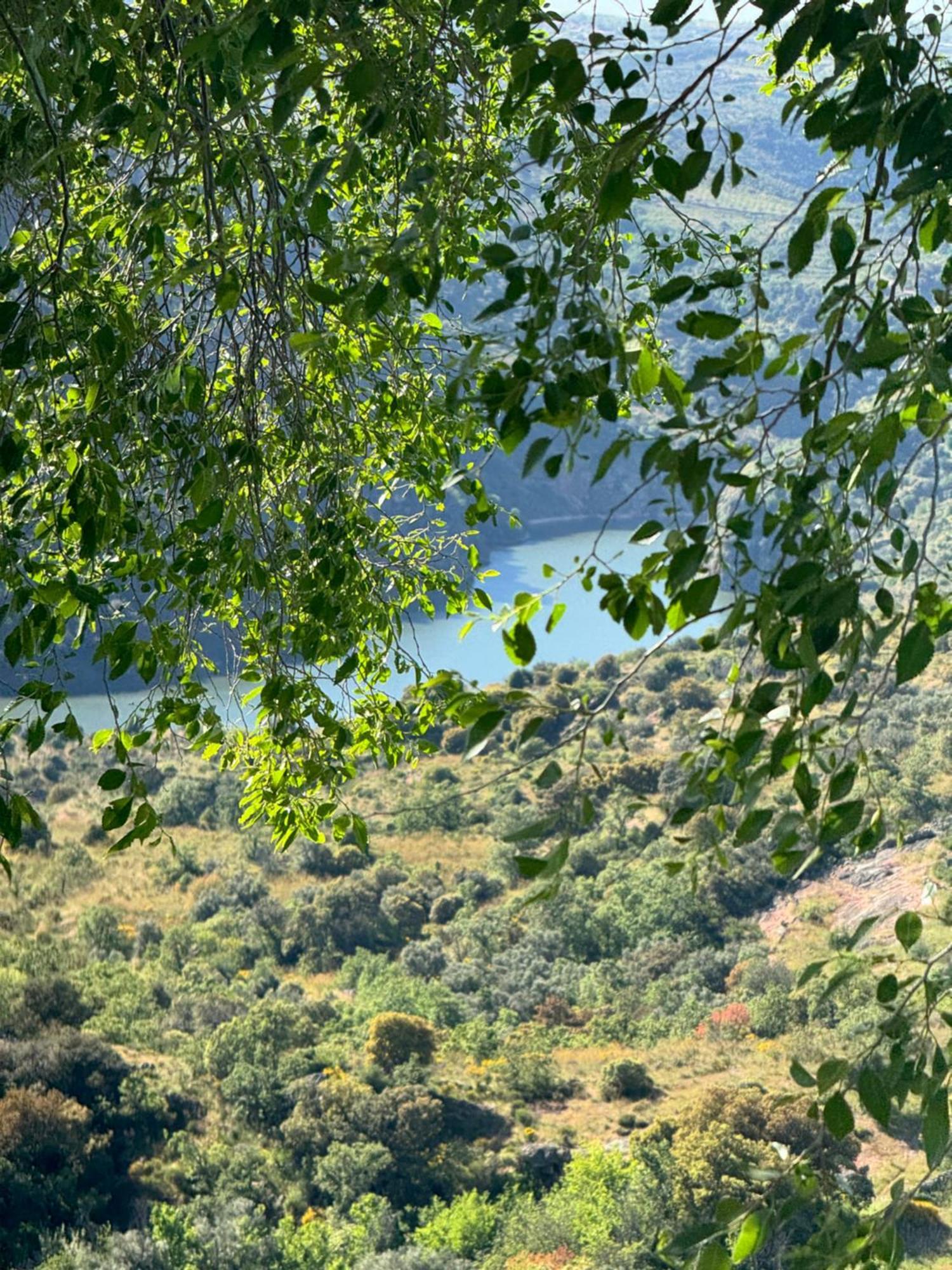 La Casita De Los Arribes Fermoselle Eksteriør bilde
